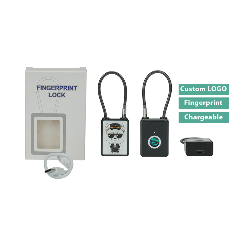 Custom Logo Small Fingerprint Padlock Promotional Gift Gym Locker Lock Luggage Padlock Backpack Smart Padlock USB Charging