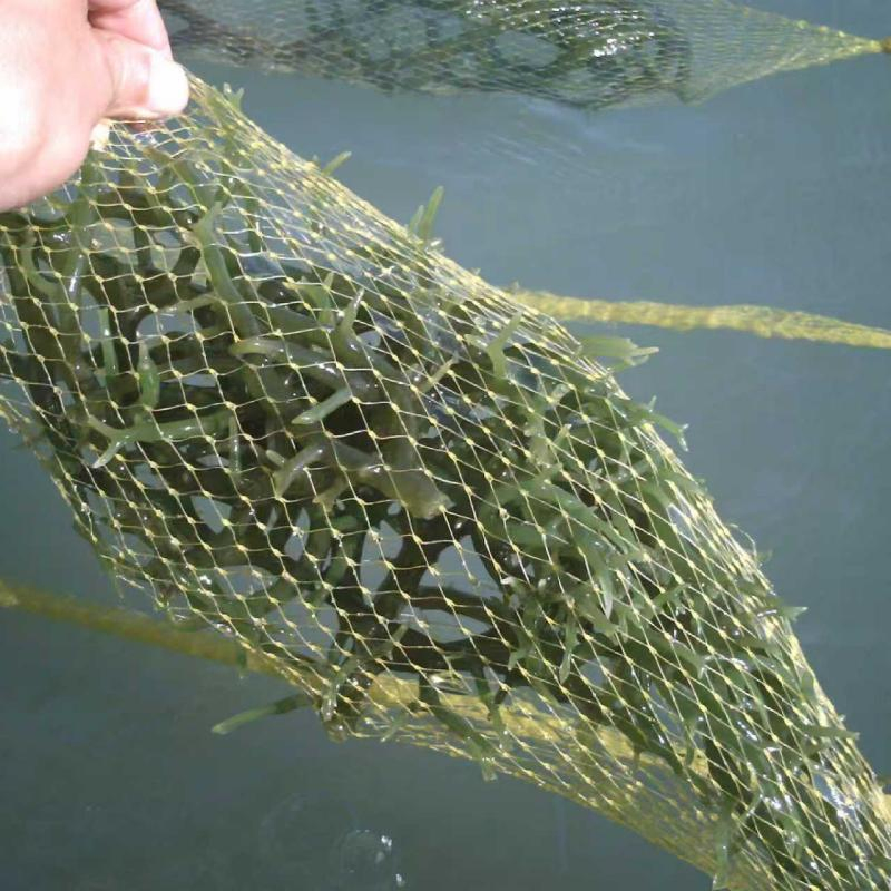 Сетка для упаковки морепродуктов, дышащая