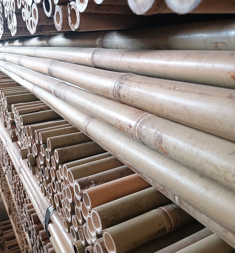 Bamboo Poles for Natural Scaffolding in Gardens/Bamboo Culms
