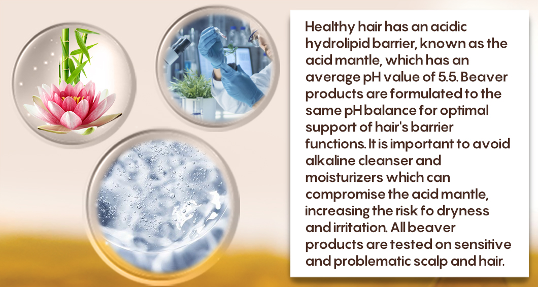 Professional Beaver Hair Care Hair Therapy Intense Remedy Shampoo and Conditioner