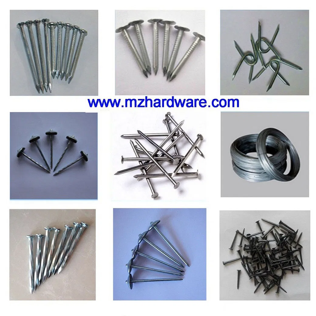 Polished Bright Common Iron Wire Nail Made by Q195 Material
