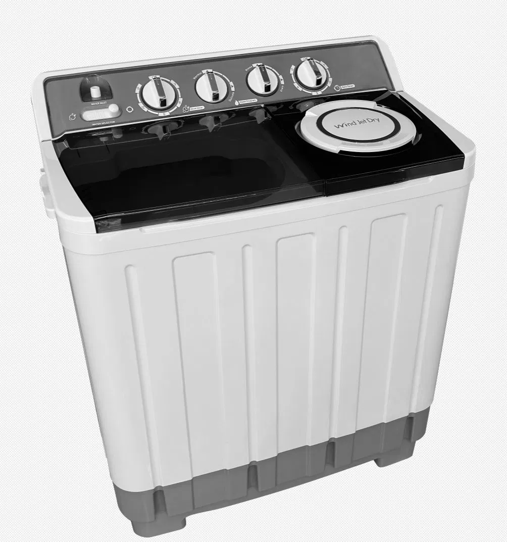 20kg Top Loading Twin Tub Washing Machine