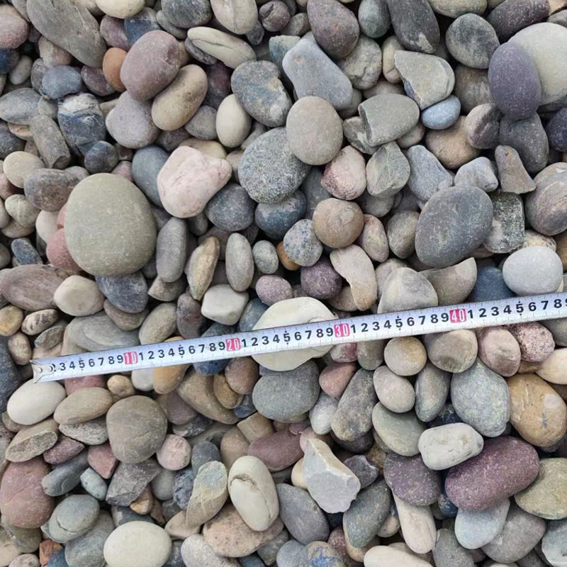 Muti Colors River Pebble Stone for Outdoor Garden Lanscaping/Paving Price