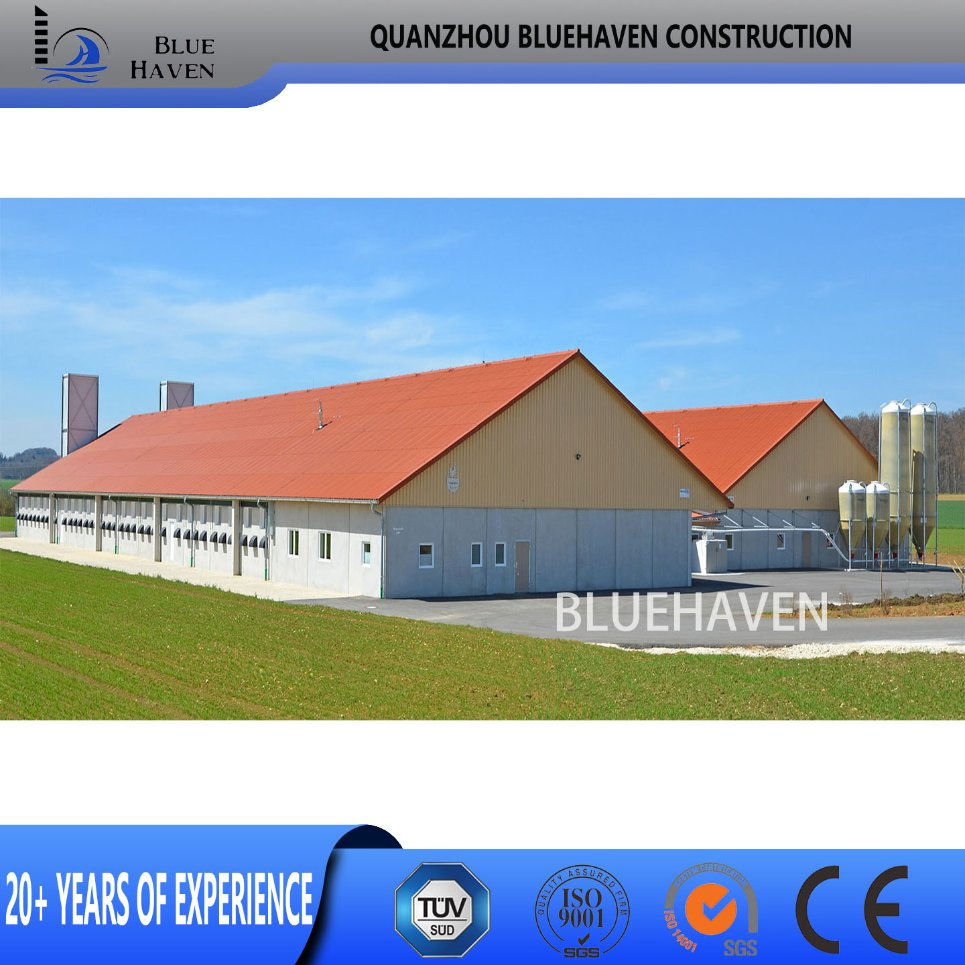 Steel Structure Frame Building Farm Cow Shed Chicken House Coop Poultry Farm
