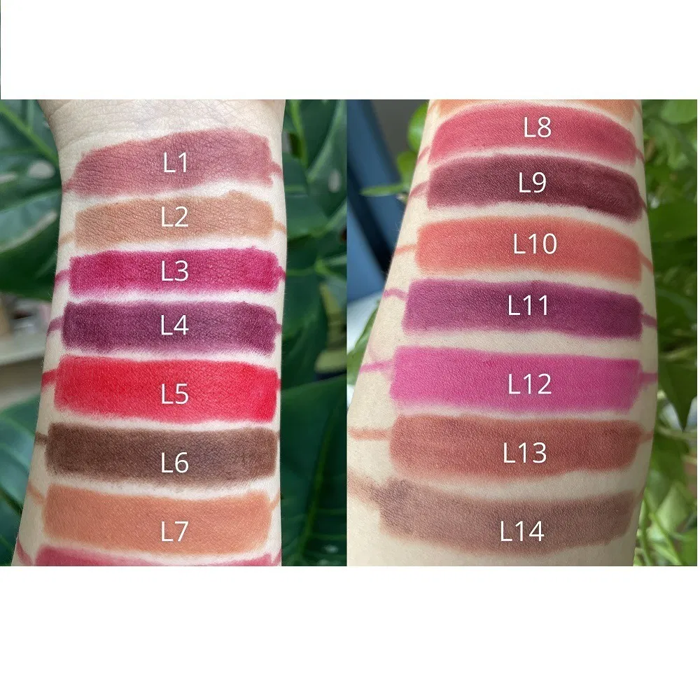 Makeup Pencil Lipliner Private Label Long Lasting Waterproof Brown Lip Liner