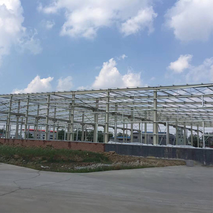 Prefabricated Steel Structure and Bolt Connection Workshop Plant with Design