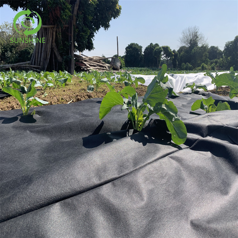 Best Quality Anti-UV Weed Control PP Non-Woven Fabric/Garden Landscaping/Landscape Nonwoven Fabric for Agriculture Cover