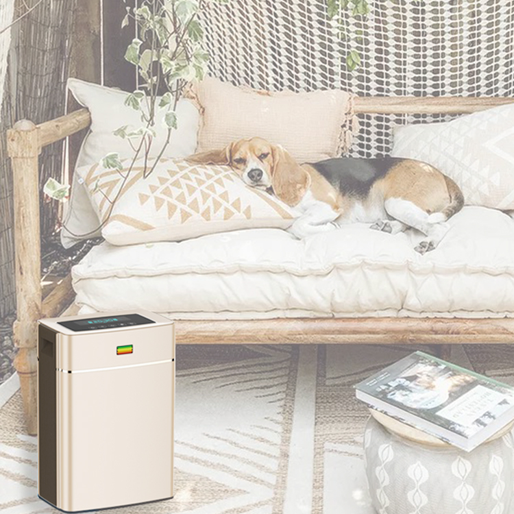 Home Portable 6 Stages Filtration System Remove Formaldehyde Pm2.5 Voc Smoke Dust Ionic Air Purifier Ap-C230A