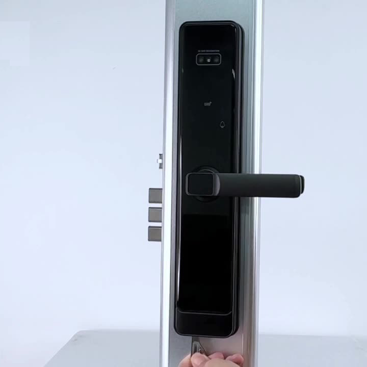 Smart Digital Lock Finger Print for Entry Door Regular Size Personalized Color Options