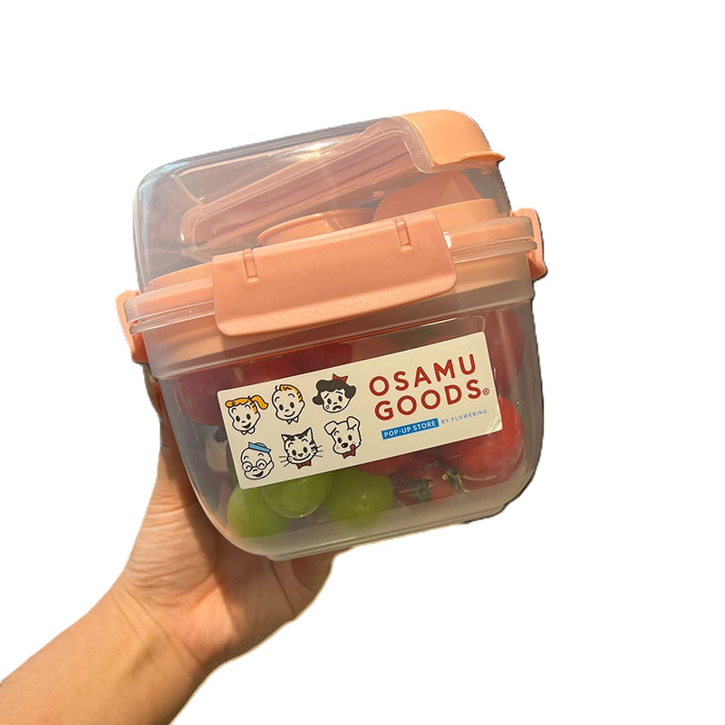 Stylish Double-Layer Plastic Bento Box for Food Organization