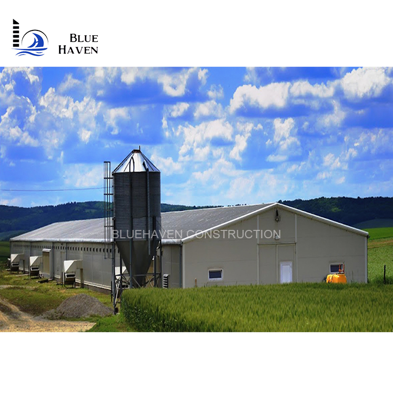 China Chicken Shelter Shed/Workshop/Warehouse Clear-Span Building