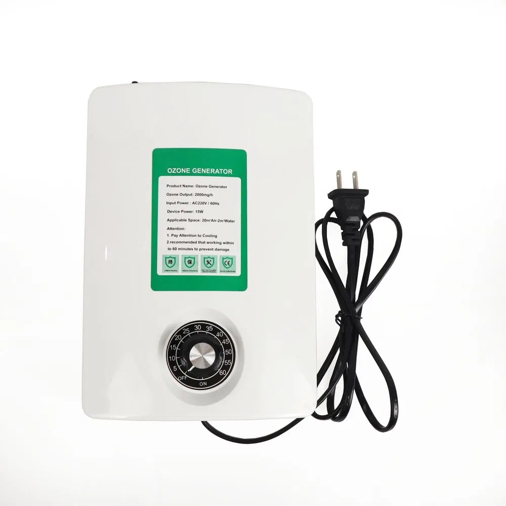 Wholesale 2000mg/H Mini Ozonator for Household Kitchen Washing Vegetable and Fruits