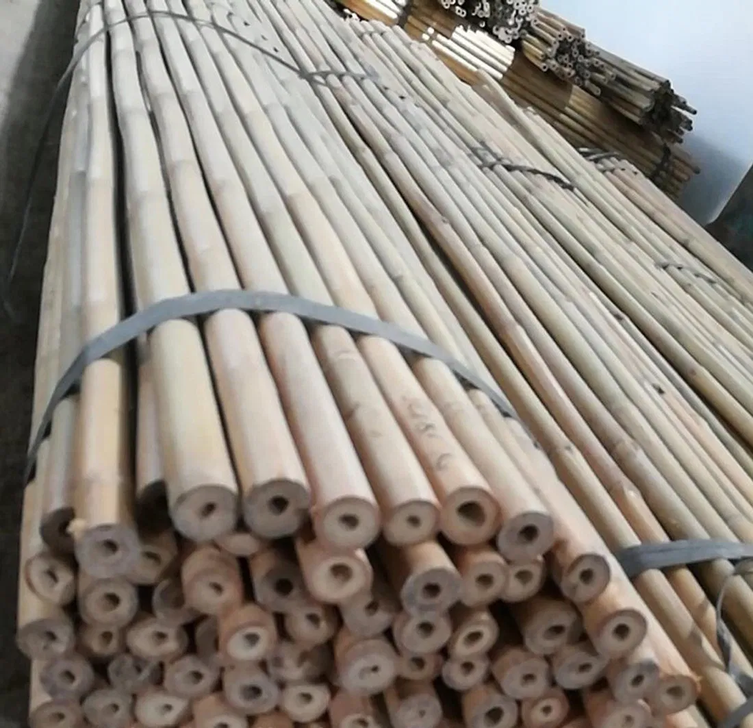 Garden Farm Use Bamboo Canes Poles and Stakes for Plantation Support