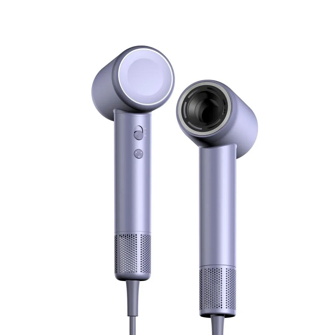 Lightweight Constant Temperature Professional High Speed Travel Electric Hair Dryer