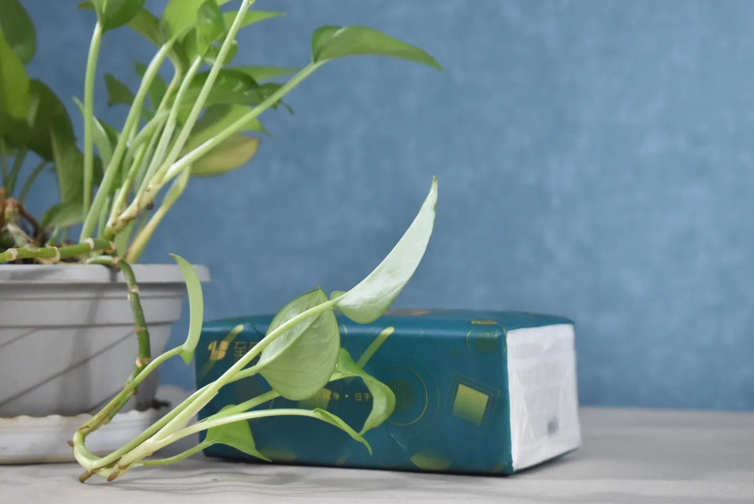 Disposable Paper Cleansing Ultra Soft Custom Facial Tissue