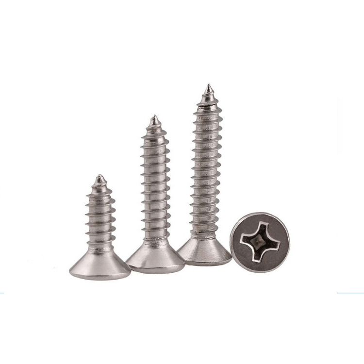 304/316 Stainless Steel Csk Type-a Type-Ab Screw for Sheet Metal Plastic Fiberglass