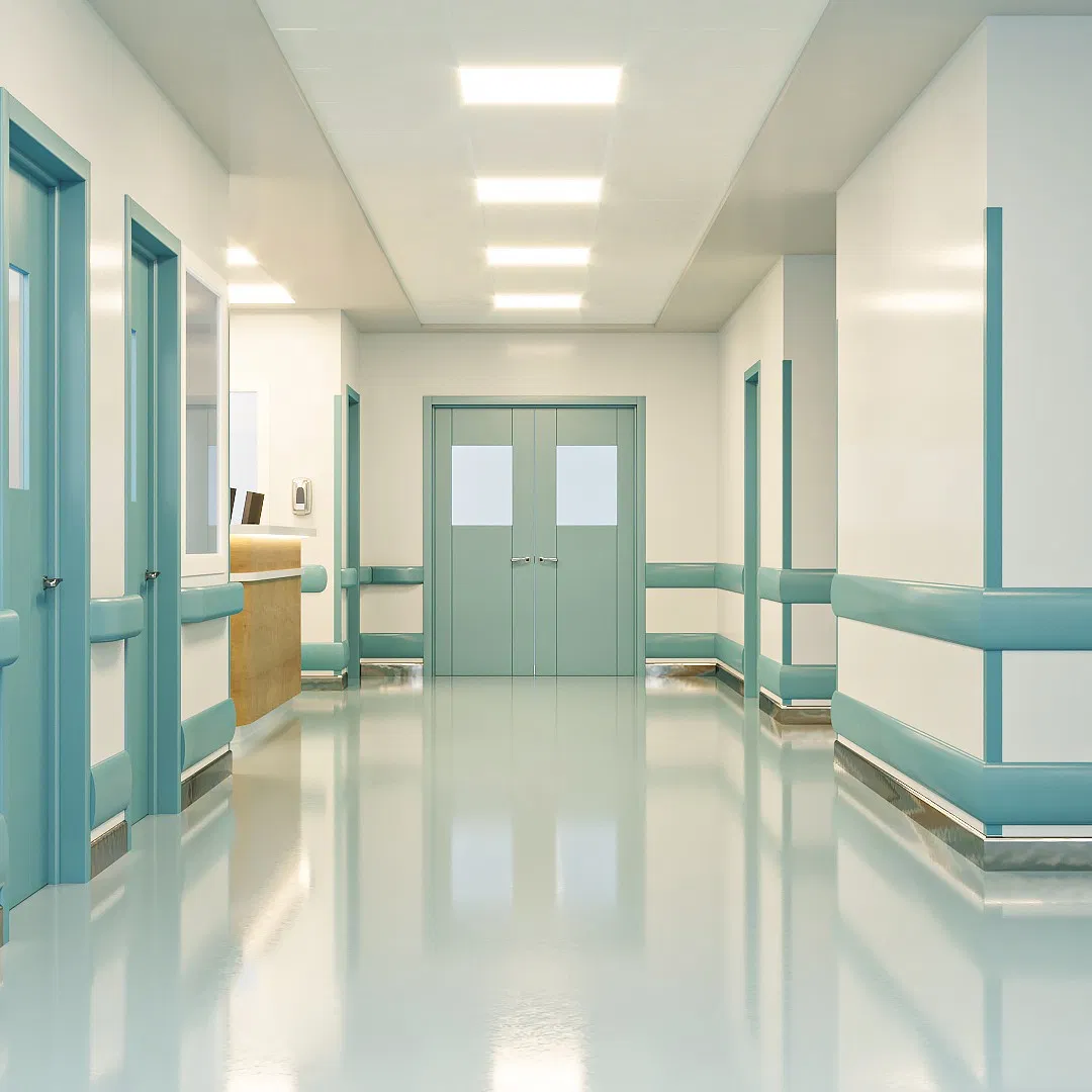 PVC Wall Protection Handrails Grab Bar Grab Bars for Hospital Corridors
