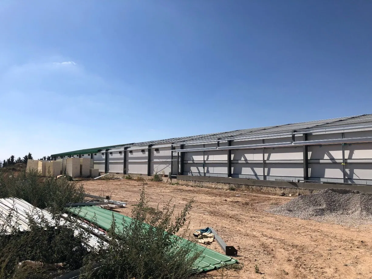 Quick Assemble Wholesale Prefab Poultry Farm Chicken Shed