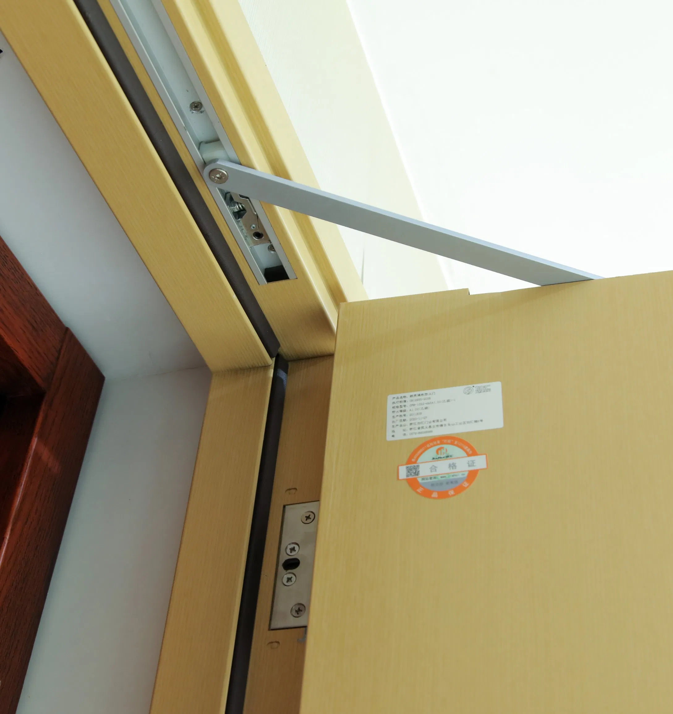 Customization Security Fireproof Emergency Exit Entry Fire Rated Steel Door