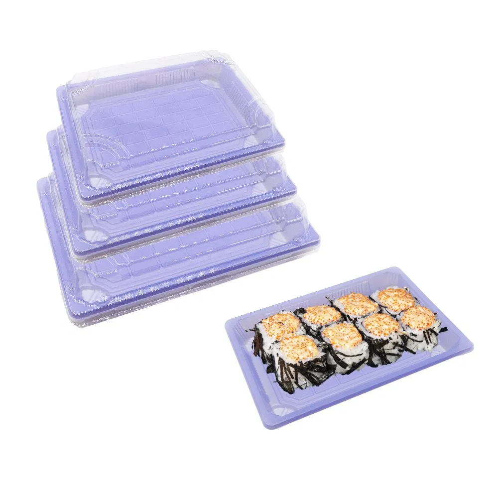 Wholesale Light Blue Takeaway Food Packaging Sushi Togo Box