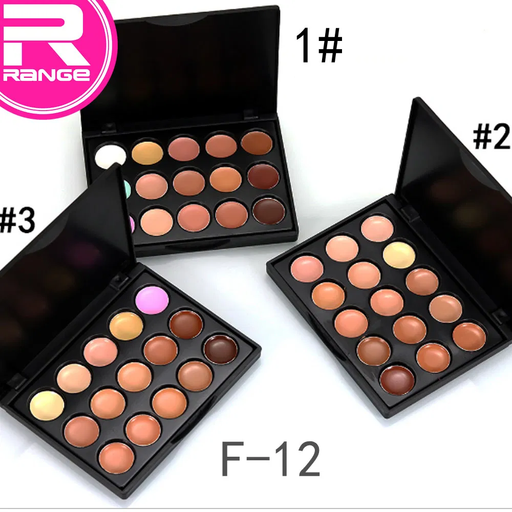 Popular Complete 15 Color Concealer Palette
