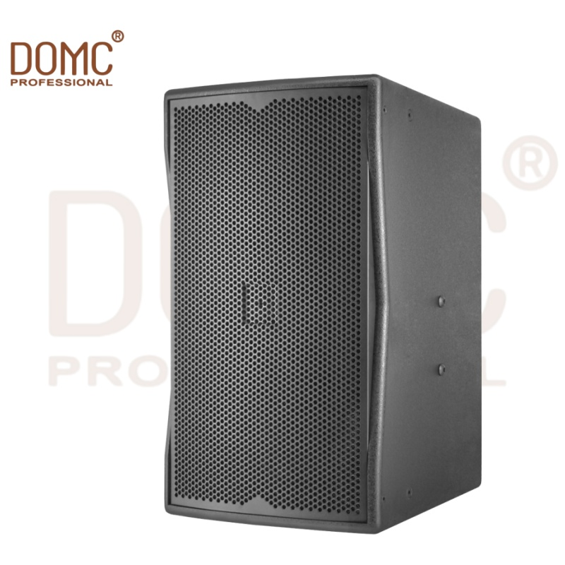 Premium 10-Inch Speaker for Clear Sound at Gatherings