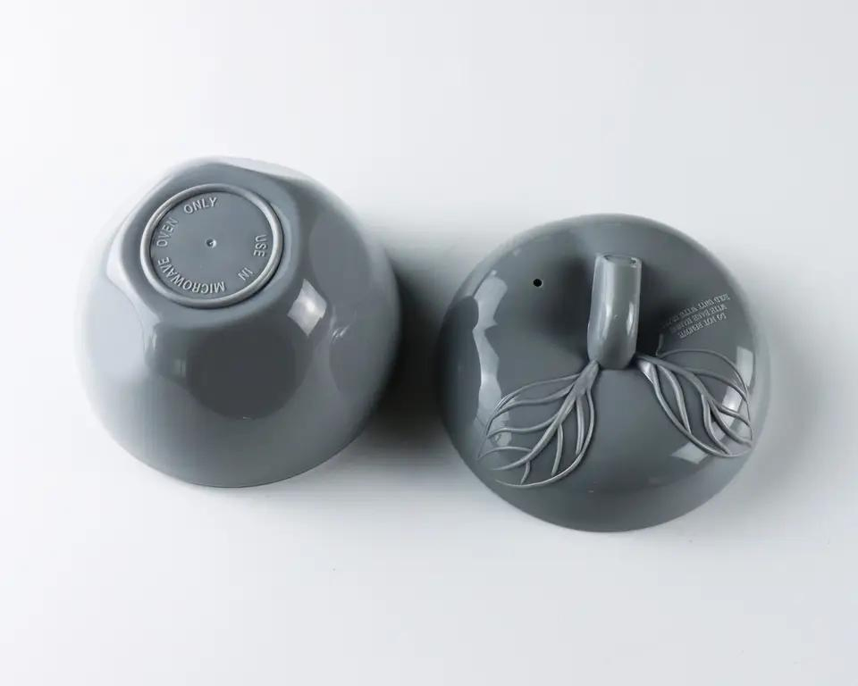 Plastic Apple Fruit Container Bowl with Corer and Lid