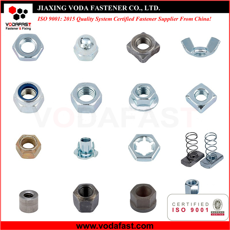 Hex Nuts Flange Nuts Square Nuts Thin Nuts Nylon Insert Lock Nuts Cap Nuts Wing Nuts Channel Nuts Coupling Nuts Weld Nuts