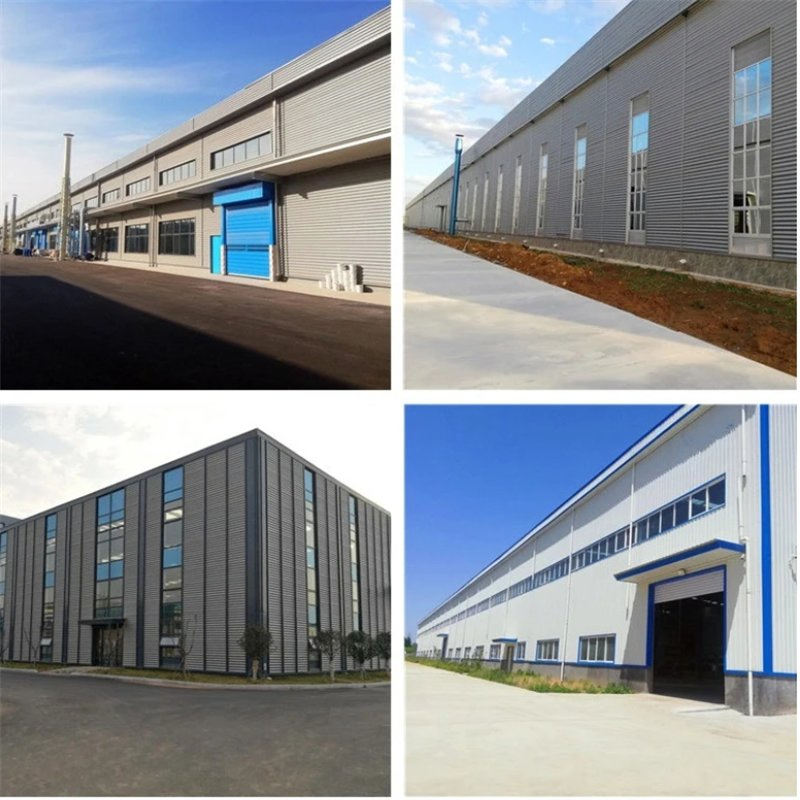 Prefabricated Steel Structure Costa Rica Shopping Mall with Economical Design