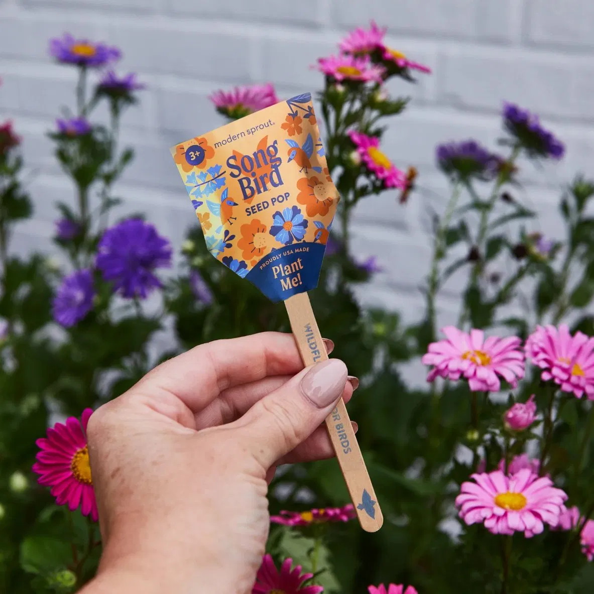 Each Bumble Bee, Butterfly and Song Bird Seed Pop Includes a Curated Selection of Perennial Wildflower Seeds, Clay, Worm-Castings and Planting Instructions.