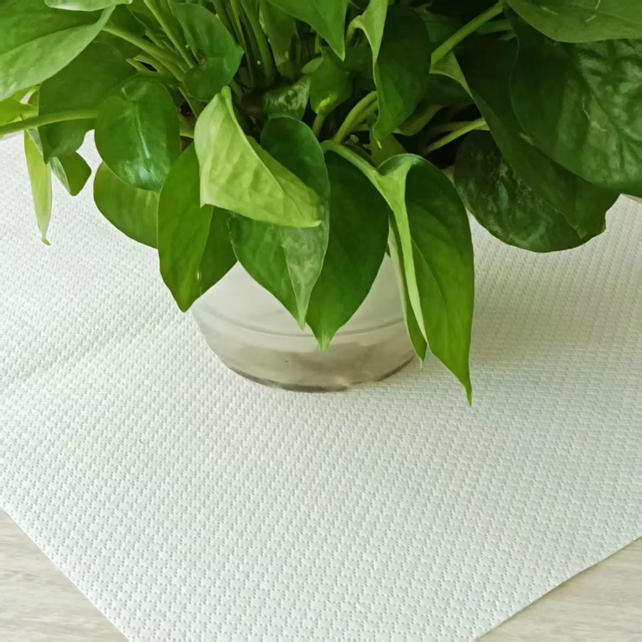 Pure PP Table Mats for Daily Dining Use