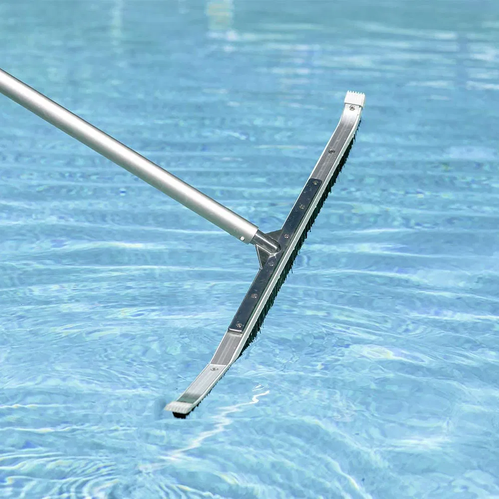 Heavy Duty Aluminum-Back Swimming Pool Wall Brush with Durable Bristles