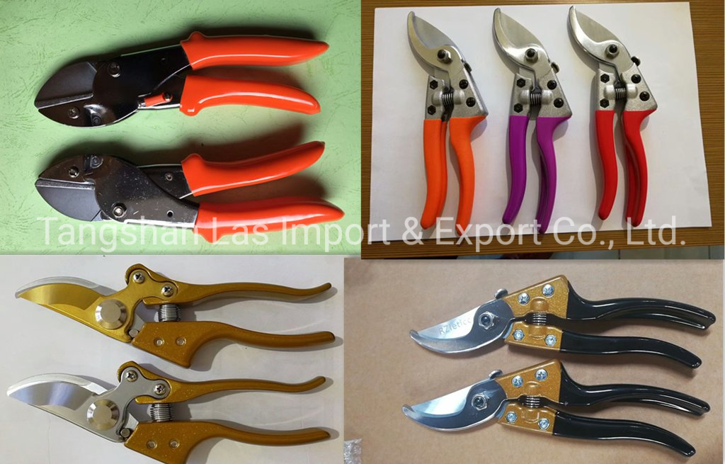Scissors, Garden Secateurs, Pruner Shears, Hand Pruner