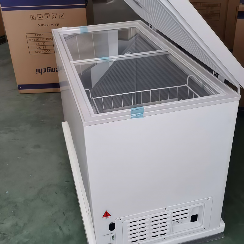 12/24V 38L 50L 70L 99L 105L 108L 128L Home Appliance Solar Refrigerator Deep Freezer DC Solar Freezer