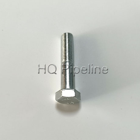 OEM Bolt /Flange Bolt/Hex Head Bolt/Anchor Bolt/U-Bolt/Carriage Bolt Made in China