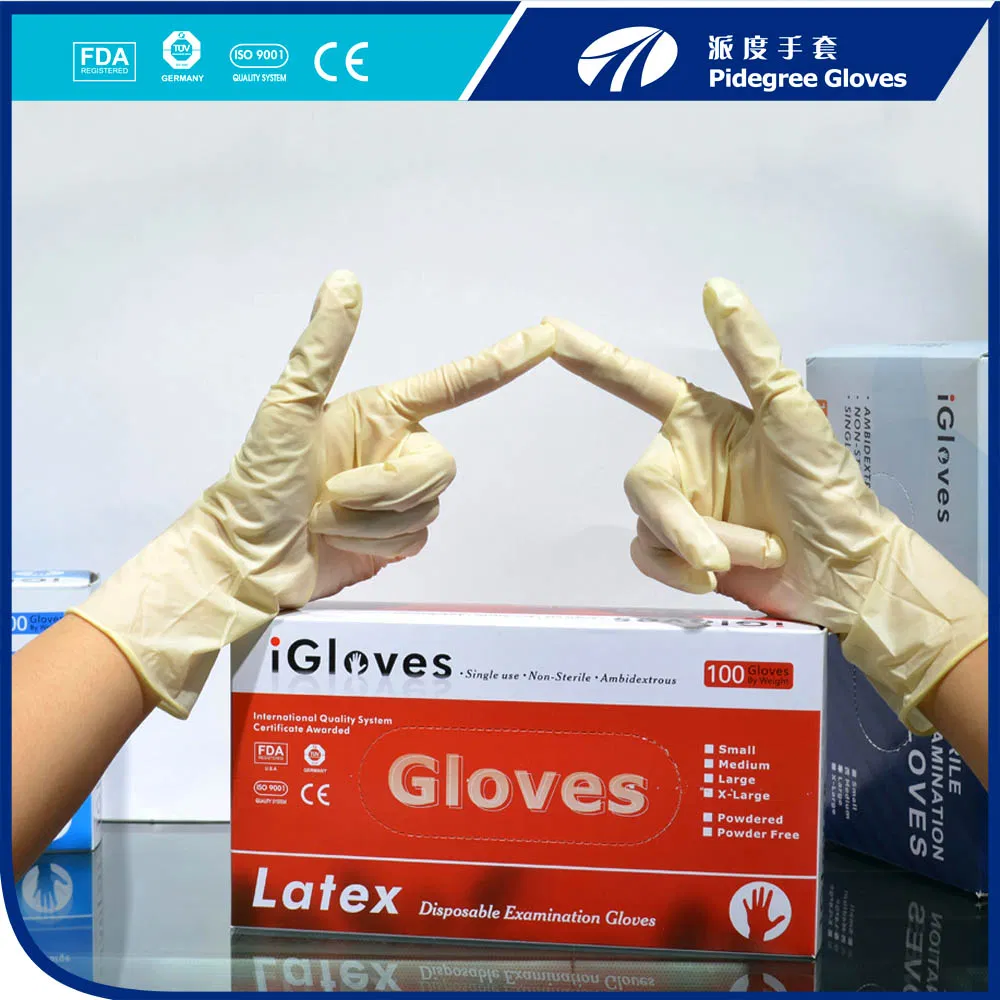 Disposable Latex Examination Gloves Malaysia Manufacturer
