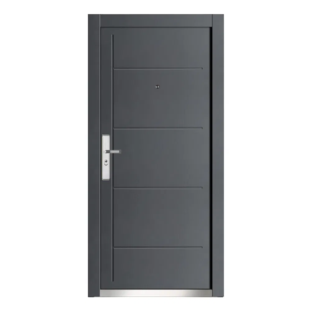 Modern Design Grey Powder Coated Steel Door for Project