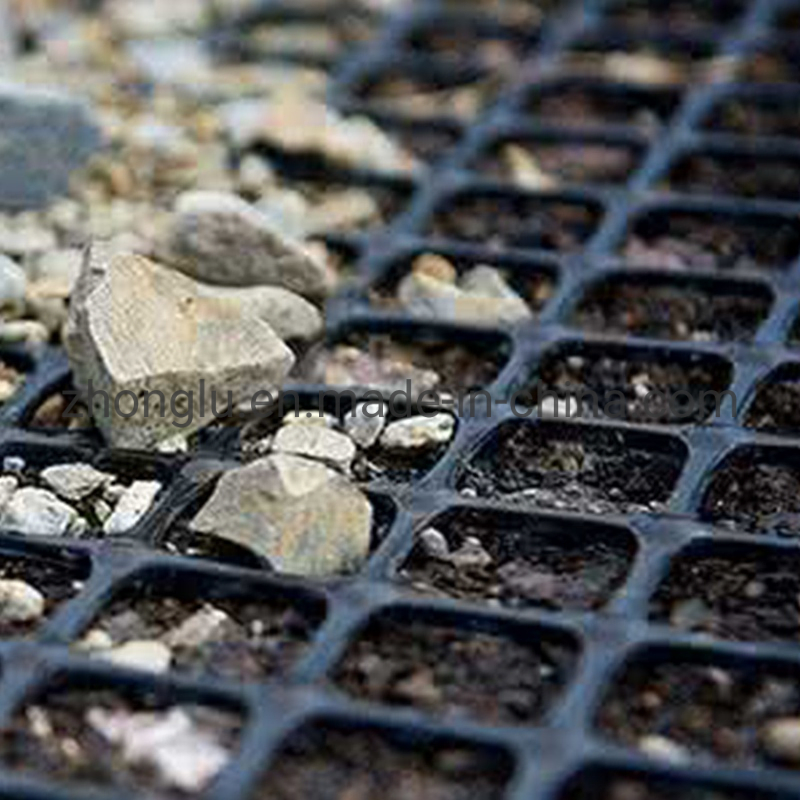 Plastic Grid Manufacturer Factory Price Biaxial PP/HDPE Geogrid Prices Biaxial Polypropylene Geogrid for Road Base Reinforcement Asphalt Road Geogrid