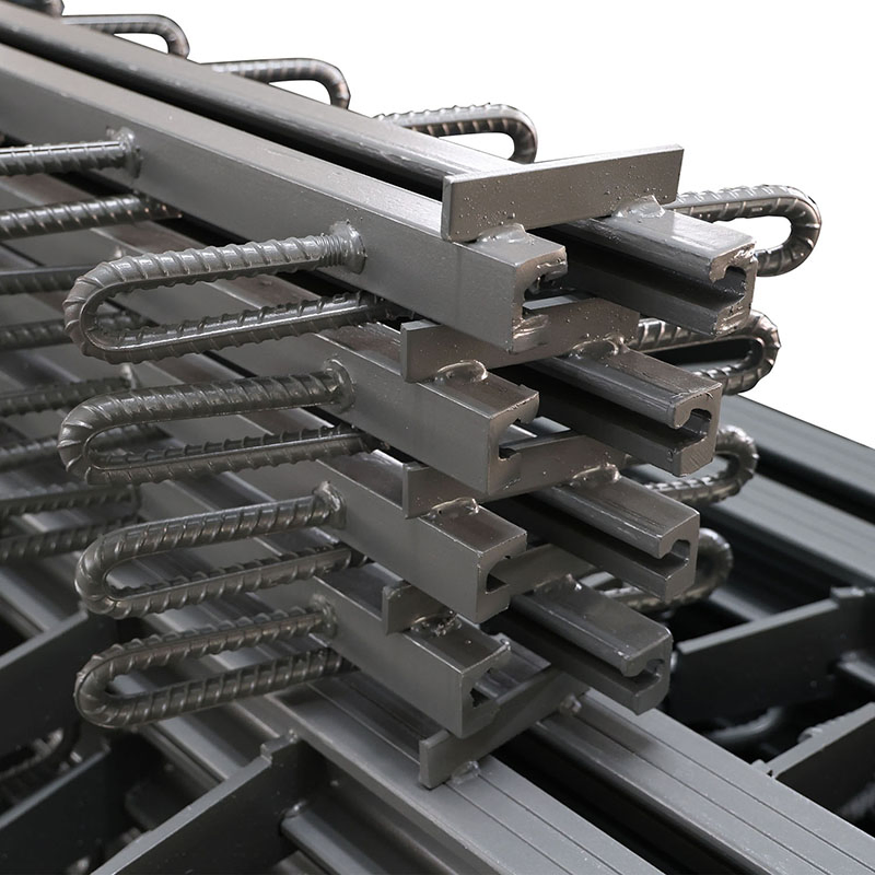Versatile Application for Highway and Urban Bridges - High-Quality Bridge Expansion Joint