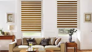 Toma Zebra Blind Let Beautiful and Free Accompany You