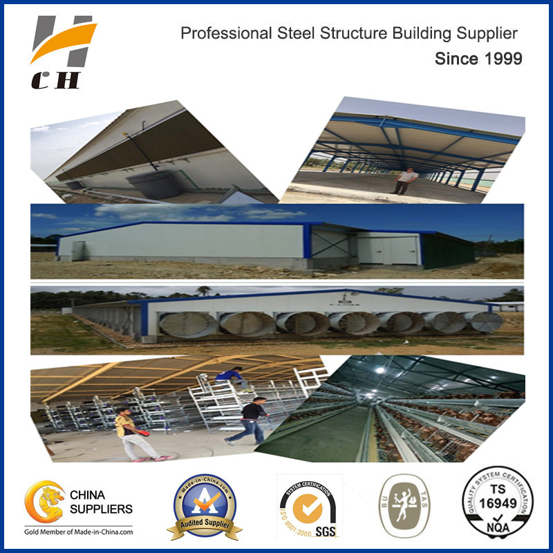 Steel Structure Chicken Poultry Building
