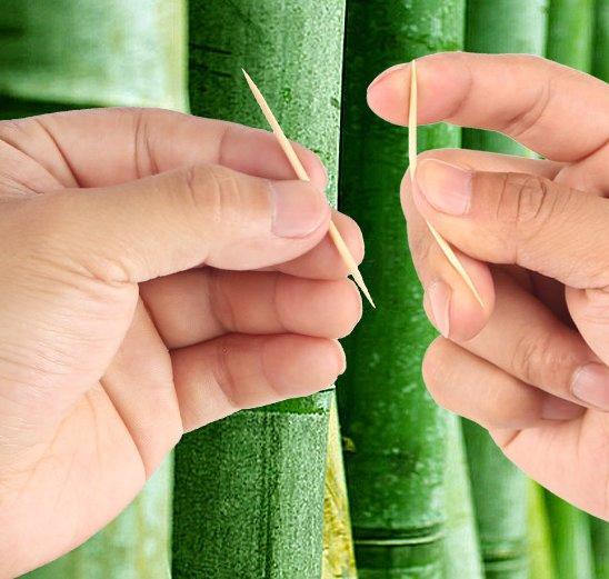 Disposable Toothpick with Single or Double Headed for Use in Home, Hotels and Restaurants