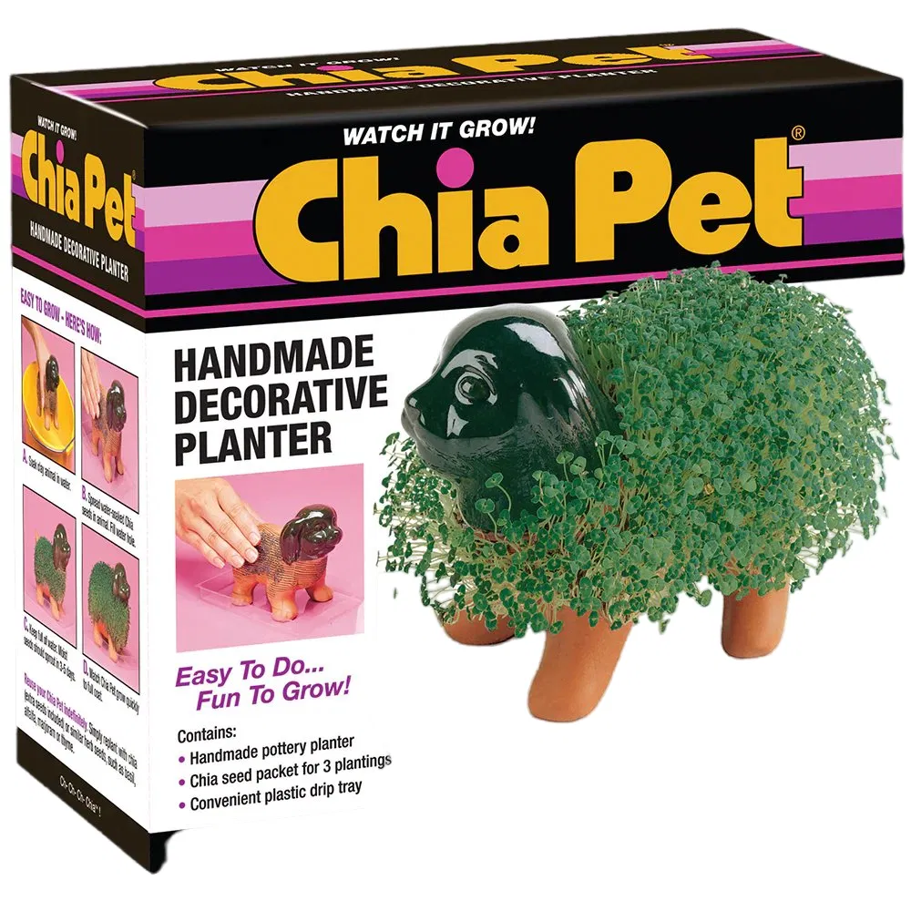 Pretty Chia Pet Puppy Decorative Pottery Grow Easy to Do and Fun to Grow Planter
