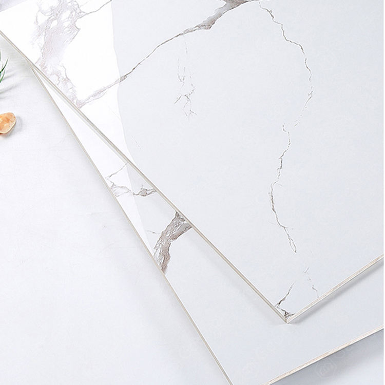 New Material Tiles for Floor Glazed Floor Tile 600*600mm 800*800mm Ceramics Tile