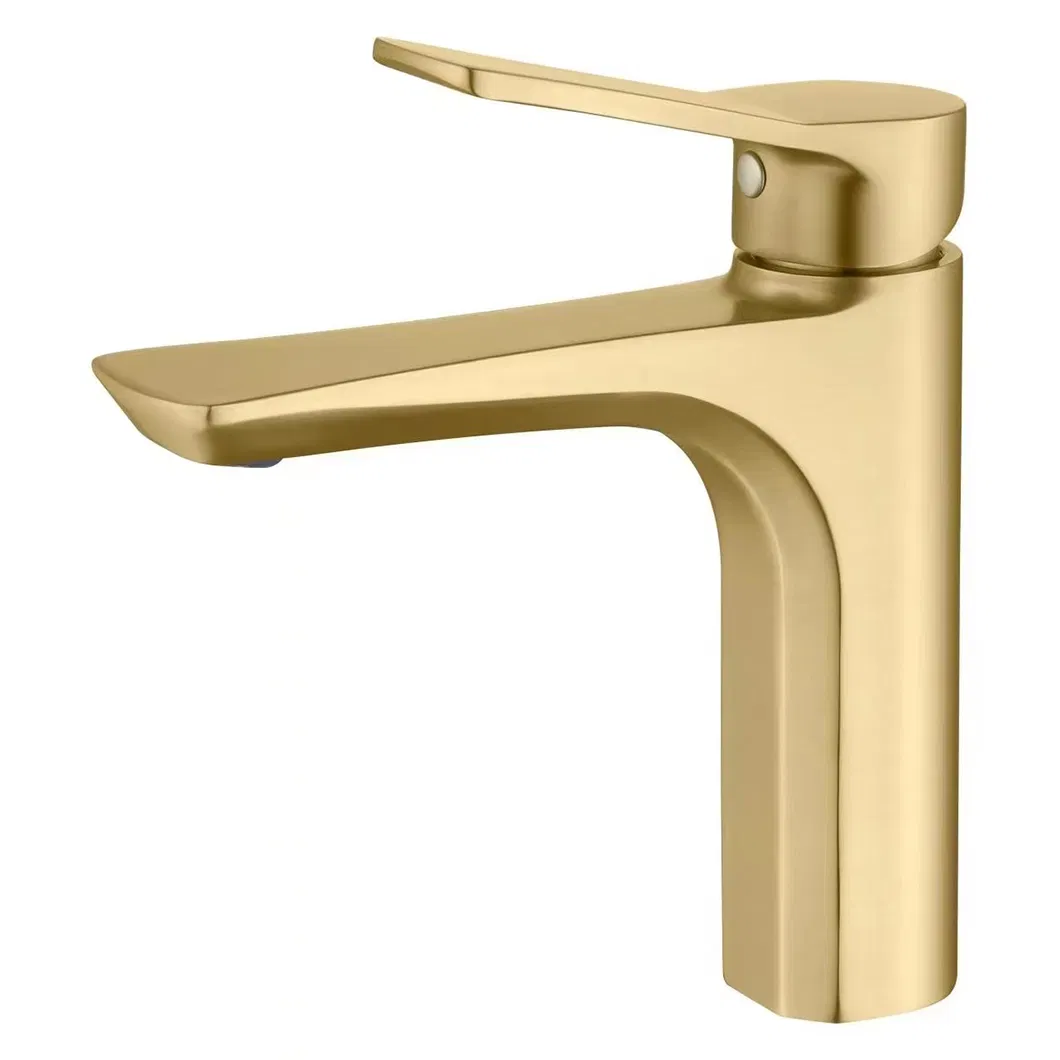 Luxury Stainless Steel Cold Water Basin Faucets Water Tap Mixer Faucet 2215lsj