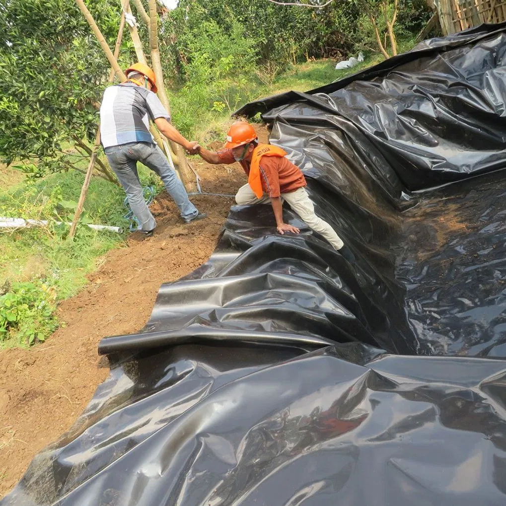 HDPE Geomembrane with GM13 Compliance 1.0-3.0mm Thickness Mining & Tunnels