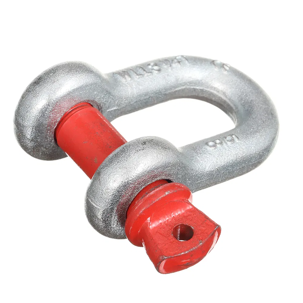 Lifting and Connecting Wire Rope Fittings Chain Fittings Marine Hardware Fittings Aluminium Stainless Steel D Ring Shackle