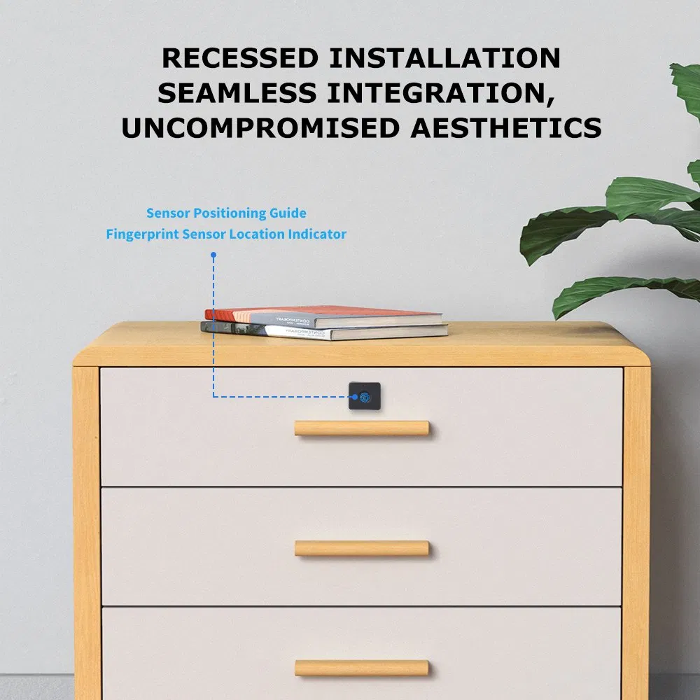 High-Tech Fingerprint Lock for Cabinets and Office Furniture