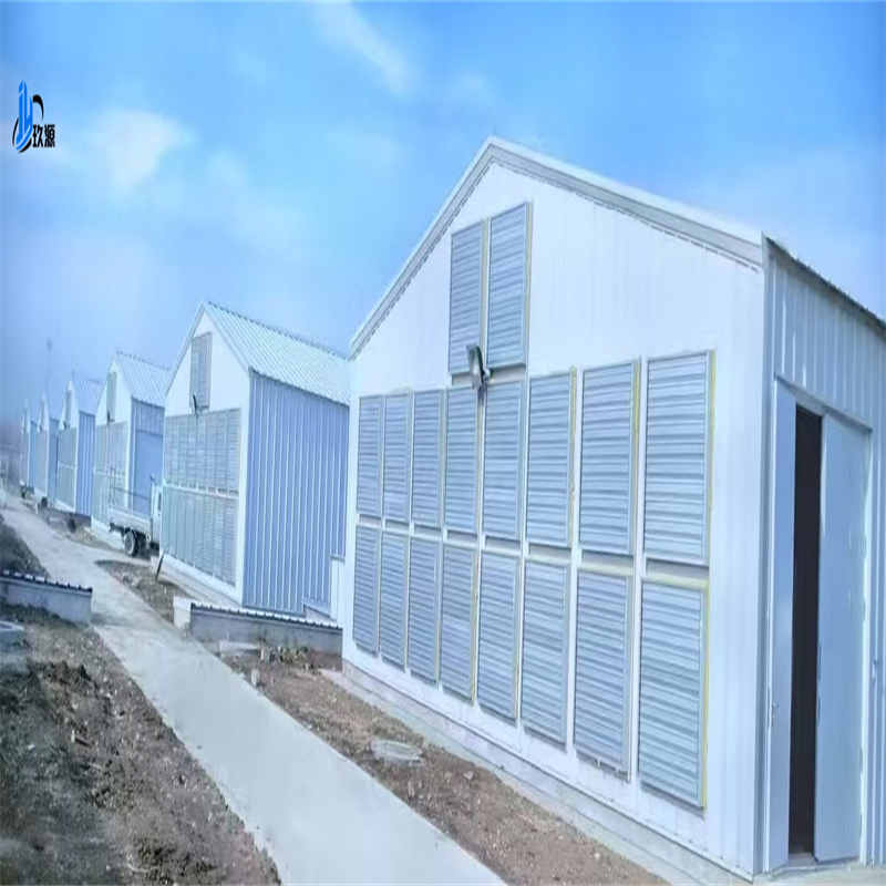 Popular Prefabricated Steel Structure Engineering Building - Chicken Coop Factory Building
