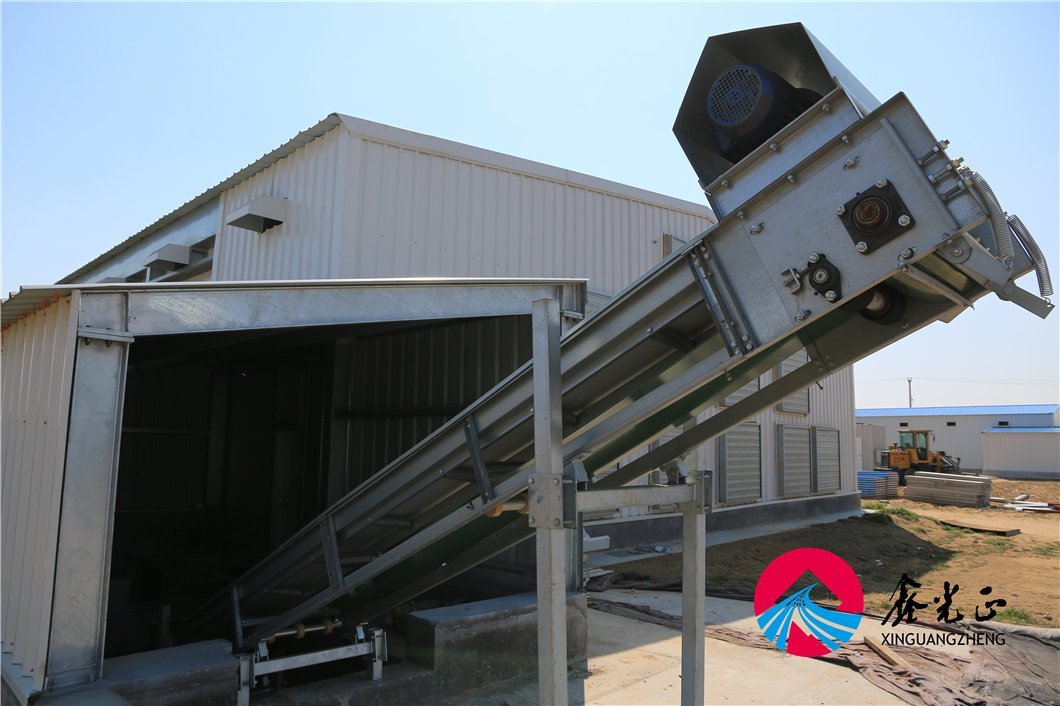 Spacious Durable Steel Chicken House for Optimal Egg Production